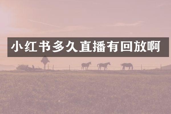 小红书多久直播有回放啊