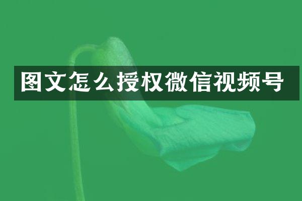 图文怎么授权微信视频号