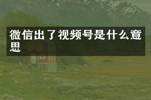 微信出了视频号是什么意思