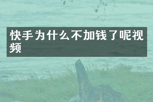 快手为什么不加钱了呢视频