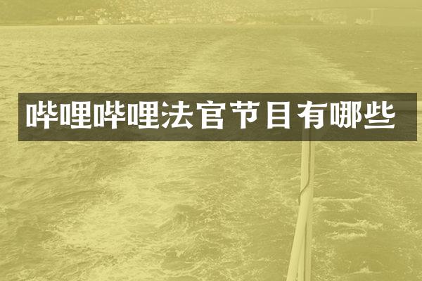 哔哩哔哩法官节目有哪些
