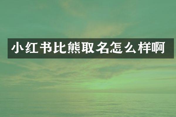 小红书比熊取名怎么样啊