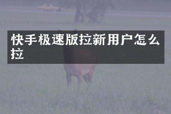 快手极速版拉新用户怎么拉