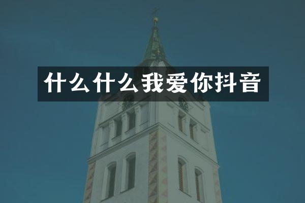 什么什么我爱你抖音