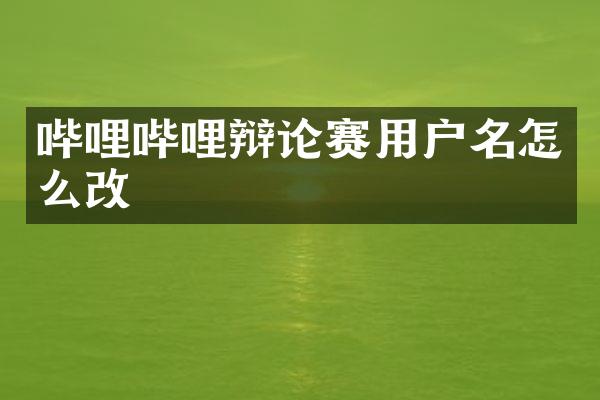 哔哩哔哩辩论赛用户名怎么改