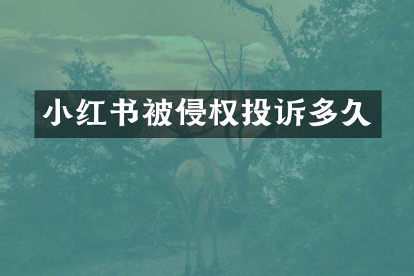 小红书被侵权投诉多久