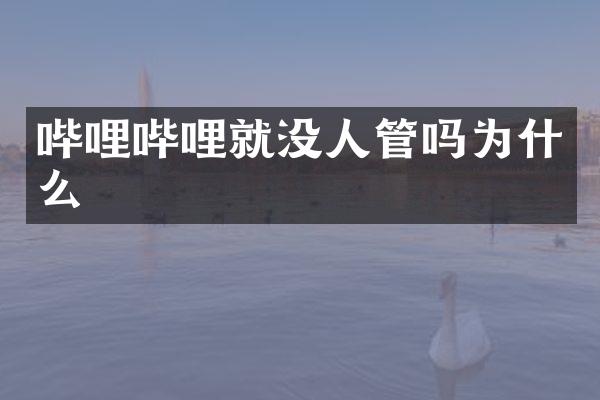 哔哩哔哩就没人管吗为什么
