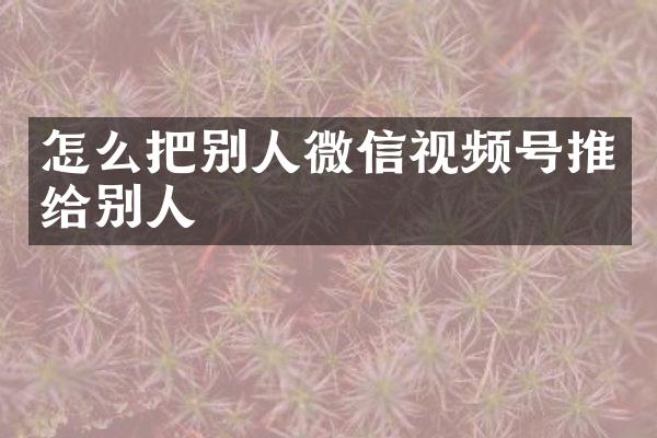 怎么把别人微信视频号推给别人