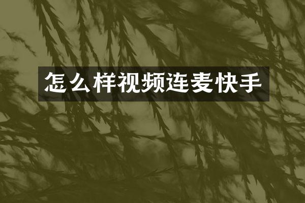 怎么样视频连麦快手