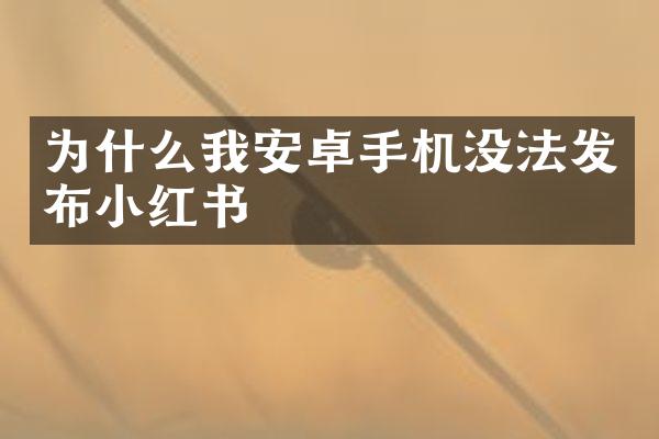 为什么我安卓手机没法发布小红书