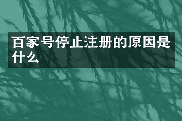 百家号停止注册的原因是什么