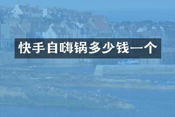 快手自嗨锅多少钱一个