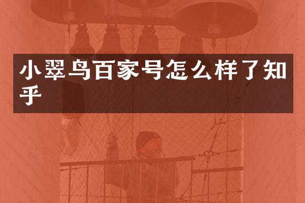 小翠鸟百家号怎么样了知乎