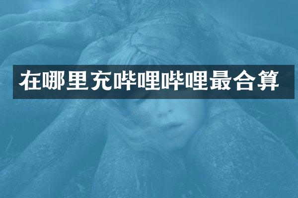 在哪里充哔哩哔哩最合算