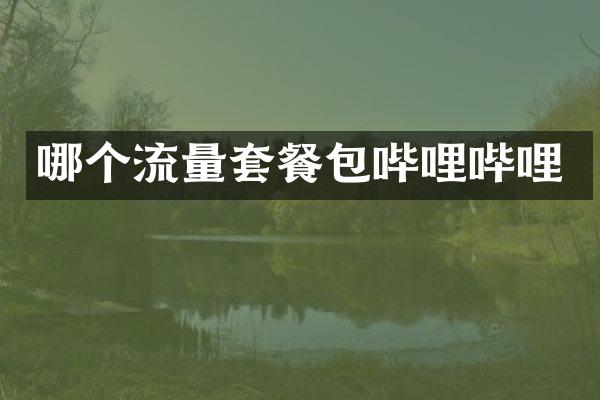 哪个流量套餐包哔哩哔哩