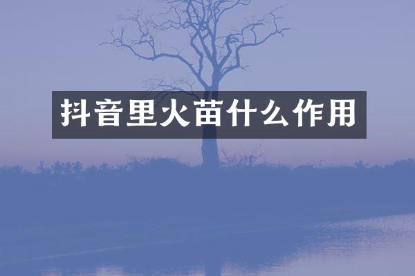 抖音里火苗什么作用