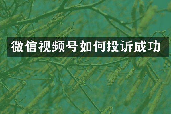 微信视频号如何投诉成功