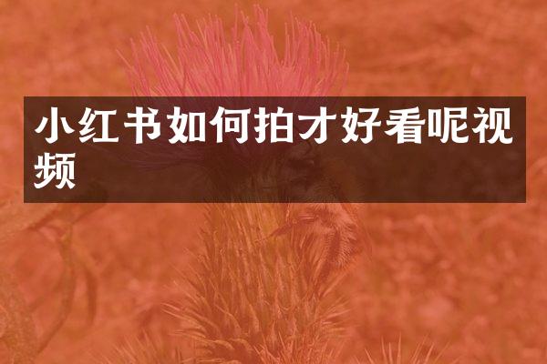 小红书如何拍才好看呢视频
