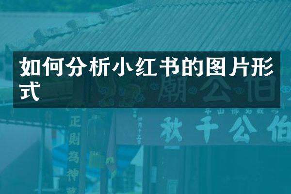如何分析小红书的图片形式