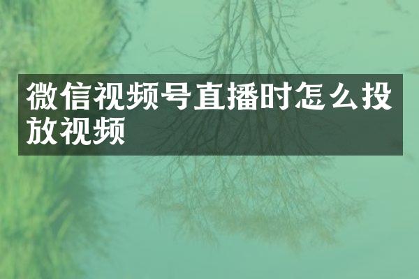 微信视频号直播时怎么投放视频