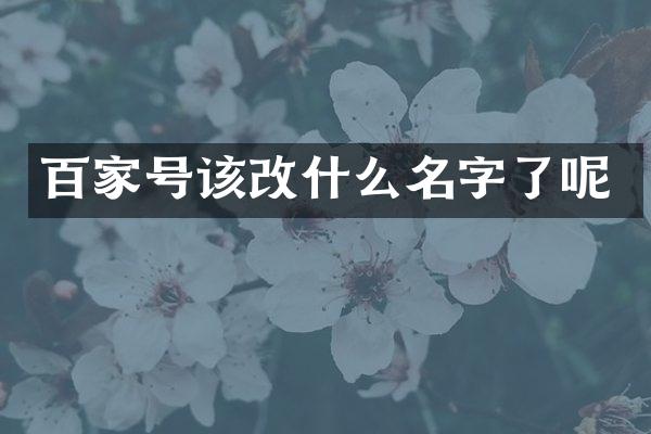 百家号该改什么名字了呢