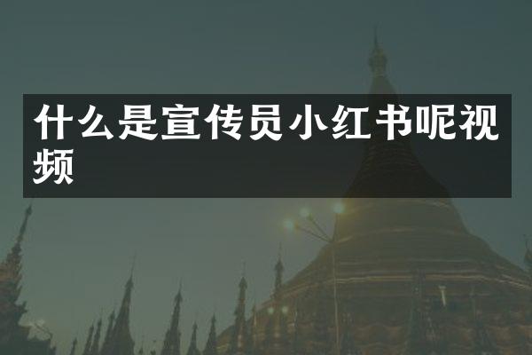 什么是宣传员小红书呢视频