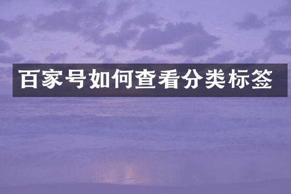 百家号如何查看分类标签