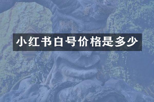 小红书白号价格是多少