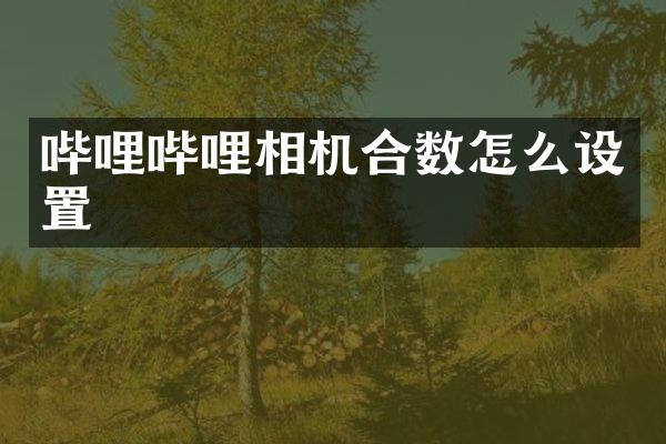 哔哩哔哩相机合数怎么设置