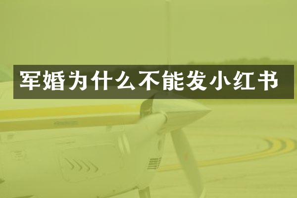 为什么不能发小红书