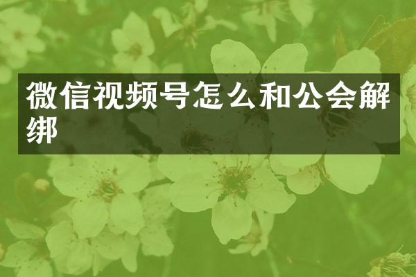 微信视频号怎么和公会解绑