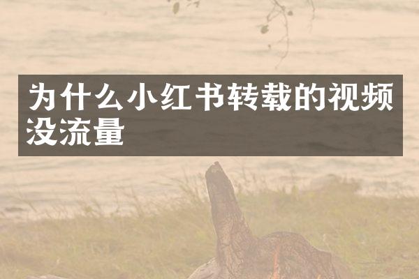为什么小红书转载的视频没流量