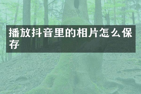 播放抖音里的相片怎么保存