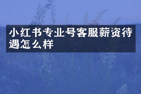 小红书专业号客服薪资待遇怎么样
