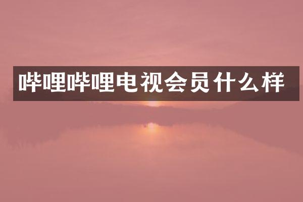 哔哩哔哩电视会员什么样