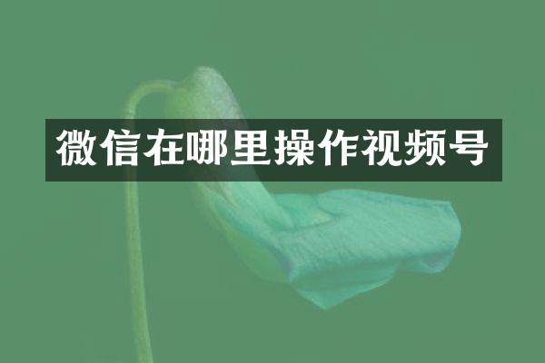 微信在哪里操作视频号