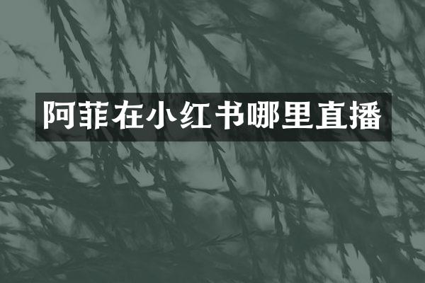 阿菲在小红书哪里直播