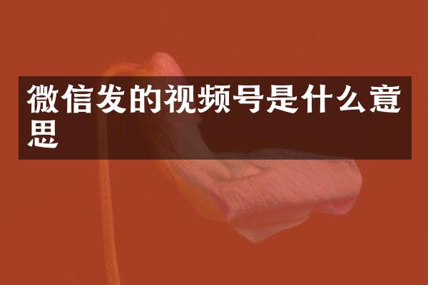 微信发的视频号是什么意思