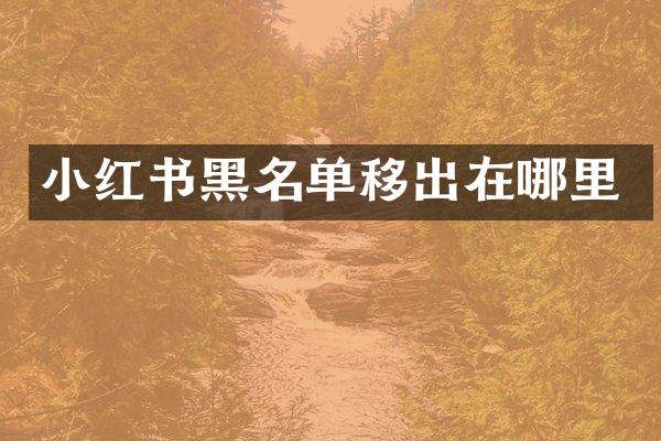小红书黑名单移出在哪里