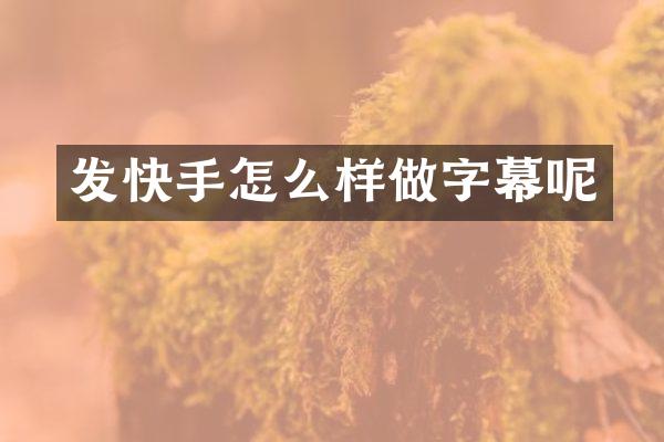 发快手怎么样做字幕呢