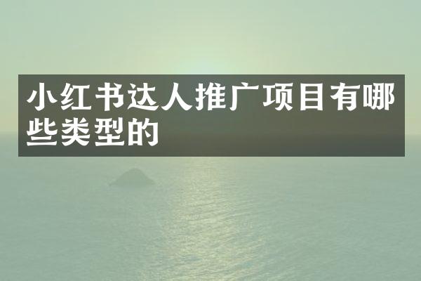 小红书达人推广项目有哪些类型的