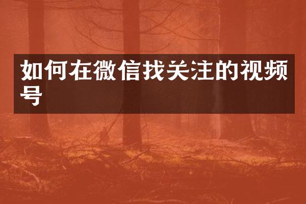 如何在微信找关注的视频号