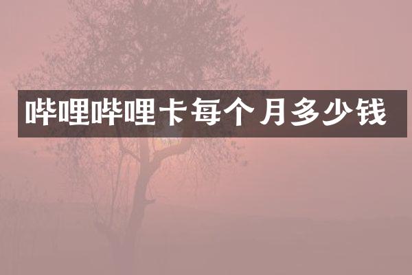 哔哩哔哩卡每个月多少钱