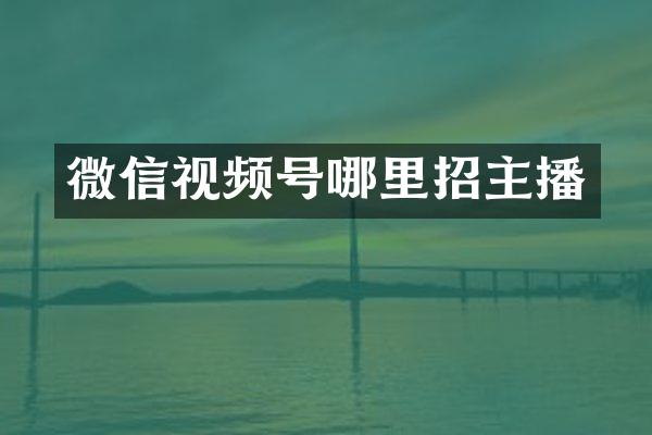 微信视频号哪里招主播