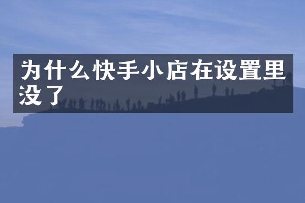 为什么快手小店在设置里没了