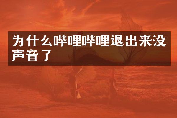 为什么哔哩哔哩退出来没声音了