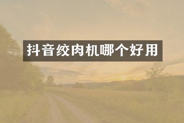 抖音绞肉机哪个好用