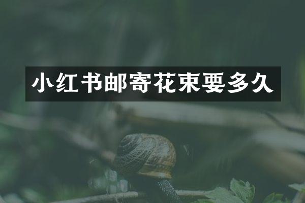 小红书邮寄花束要多久
