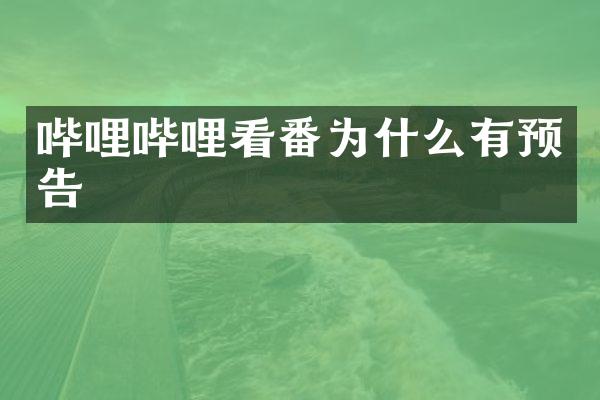 哔哩哔哩看番为什么有预告