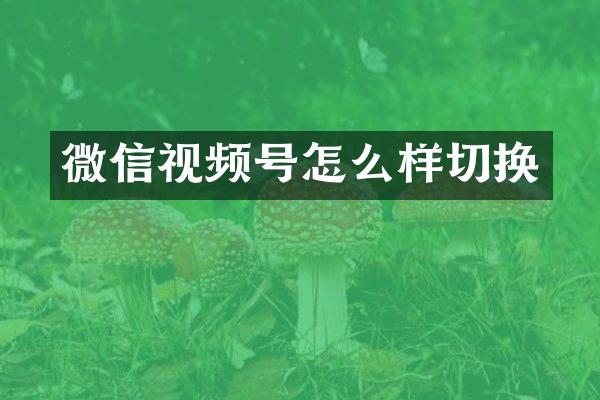 微信视频号怎么样切换